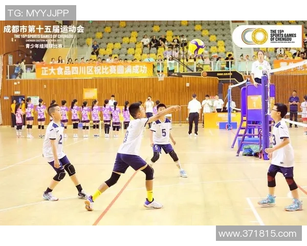 成都排球队个人能力分析与发展策略探讨