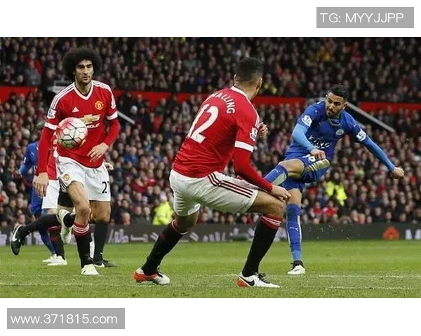 杭州排球队逆袭之路揭秘世界锦标赛背后的奋斗与荣耀